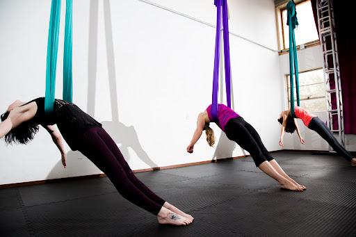 Take Flight Yoga and Movement