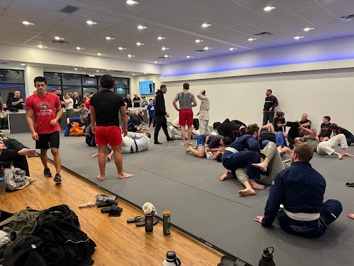 Mata Leão Jiu-Jitsu