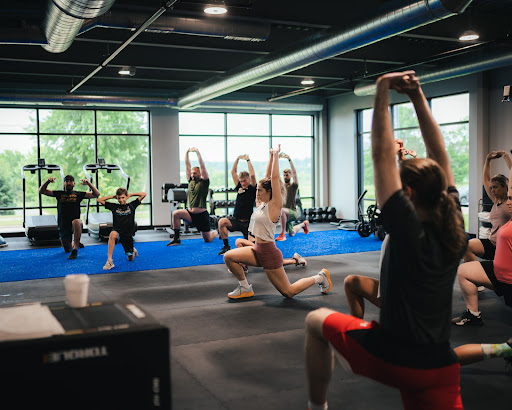 Credence Apex - Premium Fitness