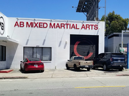 AB Mixed Martial Arts Academy