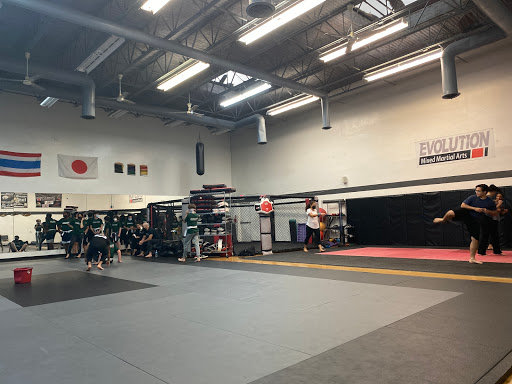 Evolution MMA MAMi