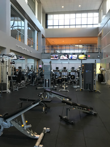THE ARENA