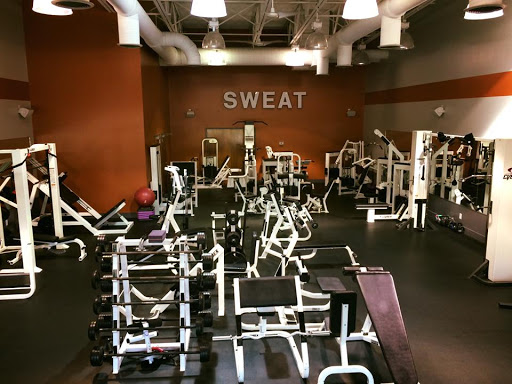 SG fitness