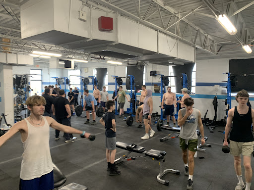 Viking Performance Training LLC