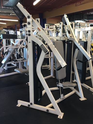 24 Hour Fitness