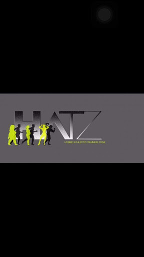 HATZ-Hybrid Athletic Training Zone