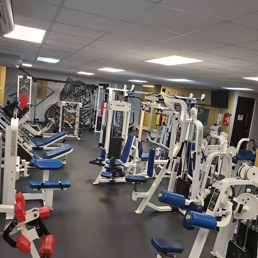 DGym Fitness Club