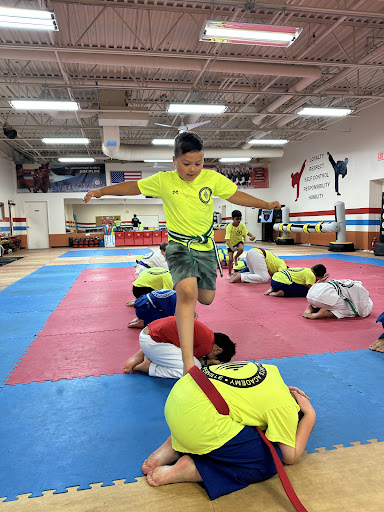 American Martial Arts Academy - Naperville