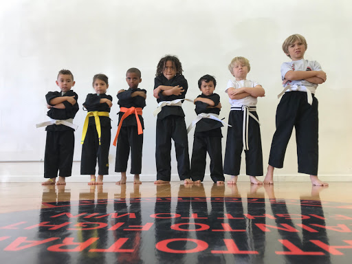 AMes Martial Arts Academy