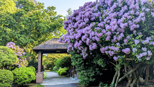 City of Redmond Park & Recreation