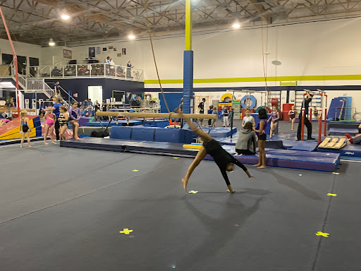 Alpha Gymnastics