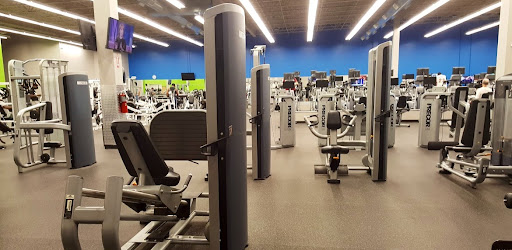 10GYM