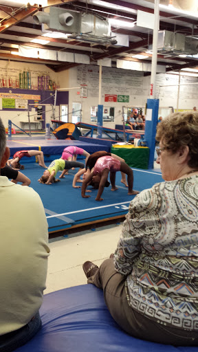Gymnastics Plus