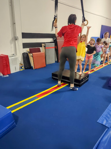 DyAMix Gymnastics