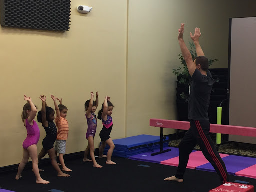 Gymnastics Palace LLC
