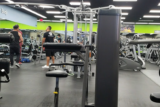 Fit Republic