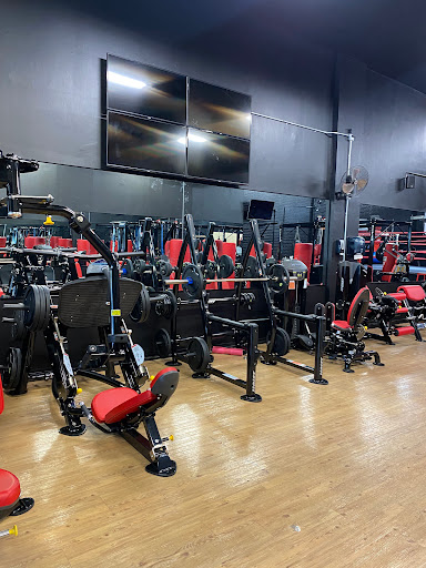 Underdog Boxing & Fitness Club LLC