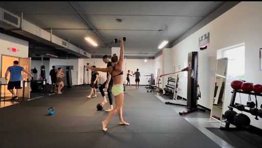 MAMi Biomechanics