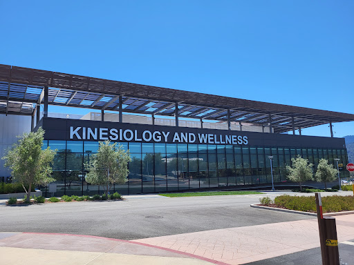 Kinesiology and Wellness