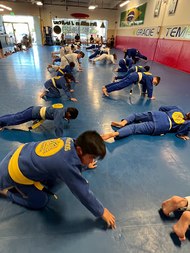 Brazilian Jiujitsu Gracie Humaita