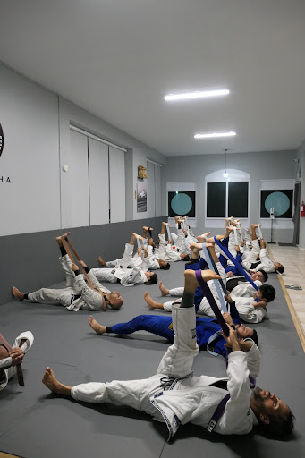 Cobrinha Brazilian Jiu Jitsu Puerto Rico