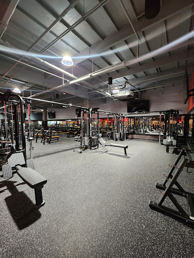 FITNESS 19