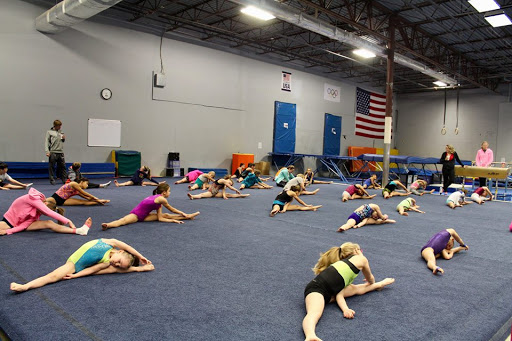 DyAMic Gymnastics