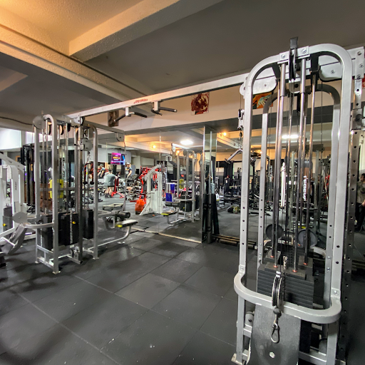 Elite Barbell