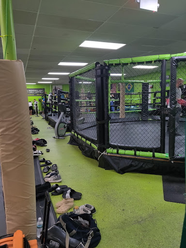 Animals MMA Yonkers