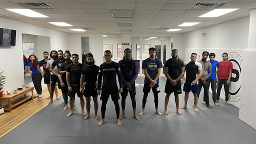 Prolific Brazilian Jiu Jitsu