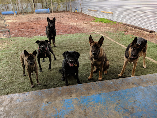 Happy Tails Doggie Daycare & Gym