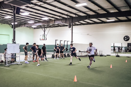 Pro Element Sports Performance and Therapy