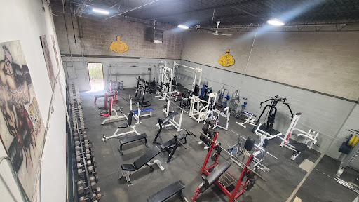 Al\'s Gym / Al\'s Gym Pro