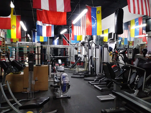 gladiator sports fitness mma