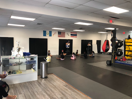 Academy of Martial Arts
