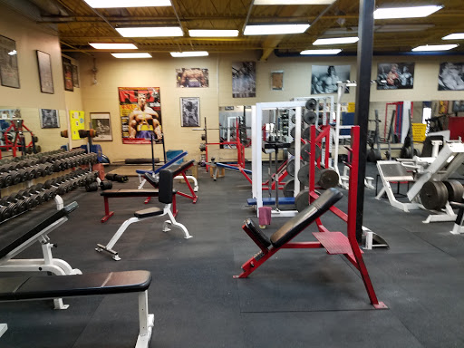 Flex Gym & Fitness