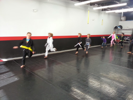 Busy Brazilian Jiu-Jitsu & Fitness (Busy BJJ)