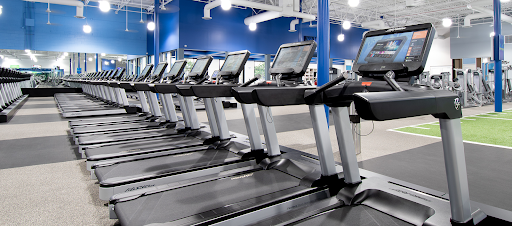 Vim + Vigor Fitness