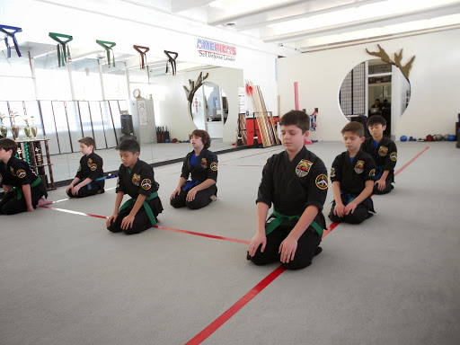United Studios of Self Defense BurlinAMe