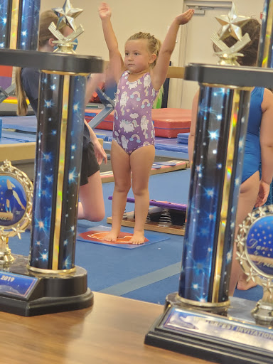 FAMes Gymnastics
