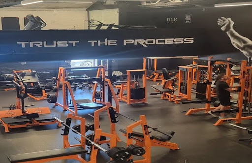 Dlr fitness