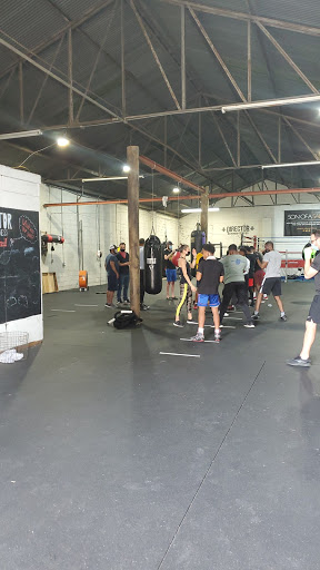 Director Boxing & Fitness