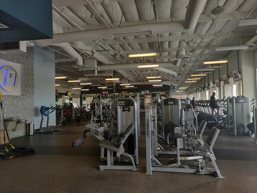 Fitness 19