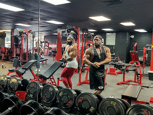 TAMivangtrainer