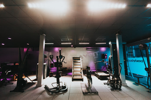 RayFit