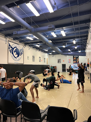 Renzo Gracie Jiu Jitsu & Training Center