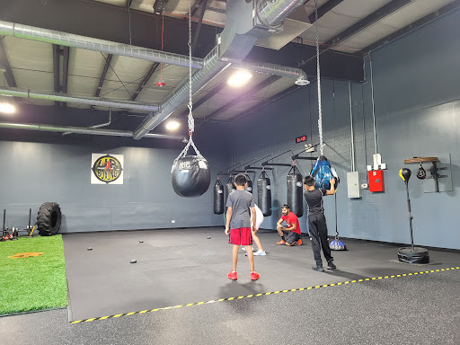 UR Boxing