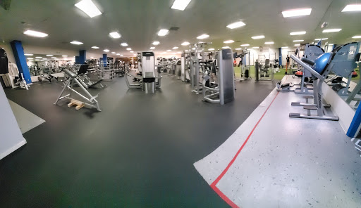 The Shark Gym
