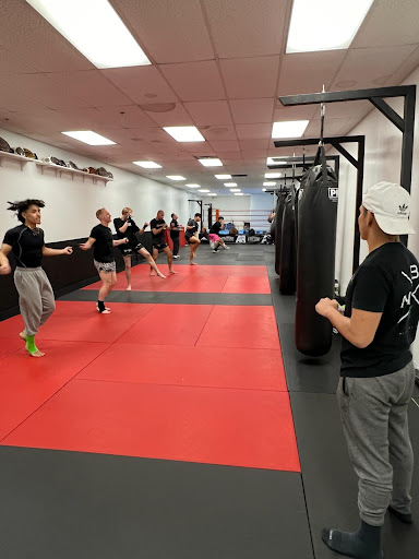 Supreme Striking Martial Arts