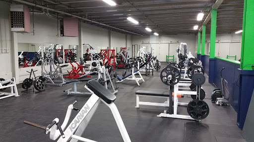 The Underground Gym